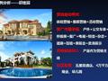 [河南]房地产项目营销策划方案（共149页含案例分析）