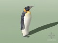 企鹅SketchUp模型下载