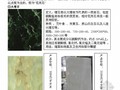 [毕业设计]建筑材料市场调研报告（附图17页）