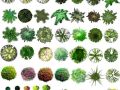PSD格式的彩色植物平面图