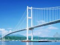 [重庆]跨江大桥桥面系整治工程招标文件