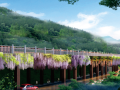 [贵州]特色紫荆花带道路景观规划设计方案