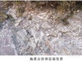 [上海]矿石中转港扩建地质灾害危险性评估报告