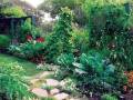 用自家花园打造的“可食景观”