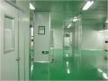 [福建]厦门无菌室中央净化系统洁净空调工程施工组织设计