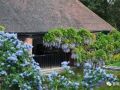 英国值得学习的5个植物园与私家庭院