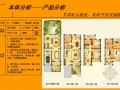 [上海]豪华别墅区项目前期策划报告(图文并茂 78页)