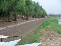 [福建]湿地公园工程钢筋混凝土挡土墙专项施工方案
