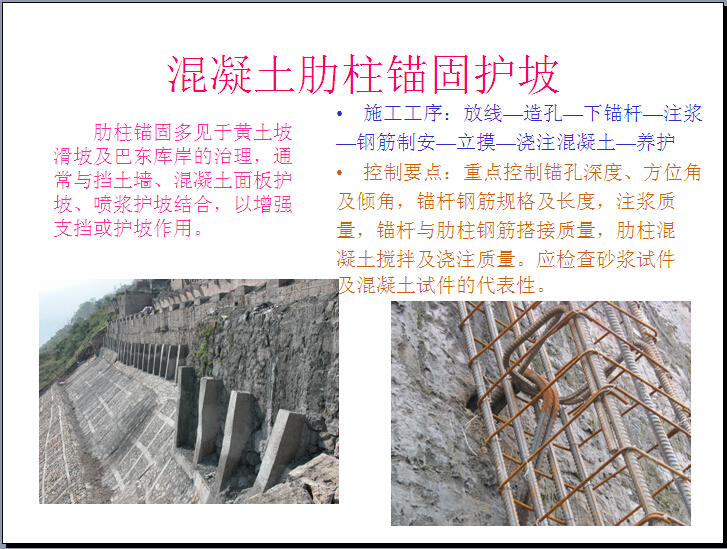 混凝土肋柱锚固护坡