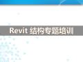 Revit教程-revit结构专题培训，51页