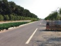 晋江市某商务区市政道路主干B工程(实施)施工组织设计