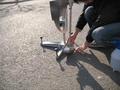 浅谈路桥施工测量放样