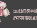 CAD编辑器中的对象捕捉找不到准确点该怎么处理？