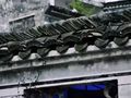 青砖黛瓦，藏了些人间故事