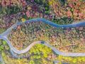 一分钟，带你飞越贵州“花海公路”