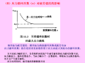 疲劳计算与吊车梁设计