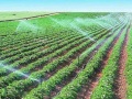 不同类型节水灌溉技术介绍ppt版（共40页）