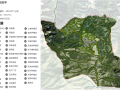 [云南]国家级林下中药材示范基地景观规划设计方案