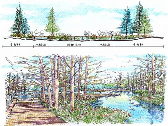 [方案][四川]城市绿色带状山体植物园景观规划设计方案