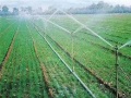 农田高效节水灌溉实施方案Word版（共90页）
