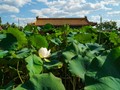 [行业头条]8月1日起，投标文件存在哪些情形呢？