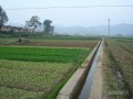[山东]小型农田水利重点县建设工程施工组织设计