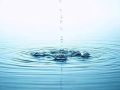 专家解读|合理规划保护饮用水水源地（C-330）