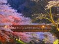日本园林的艺术禅境|构筑起整个人生的，正是当下的美