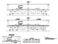 20米45度斜交小箱梁桥施工图设计
