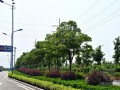 [武汉]市政道路及园林绿化监理大纲（2014年编）