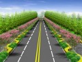 [哈尔滨]道路景观绿化工程施工投标文件(技术标)