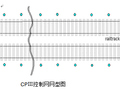 轨道CPⅢ控制测量