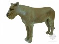 母狮子3D模型下载