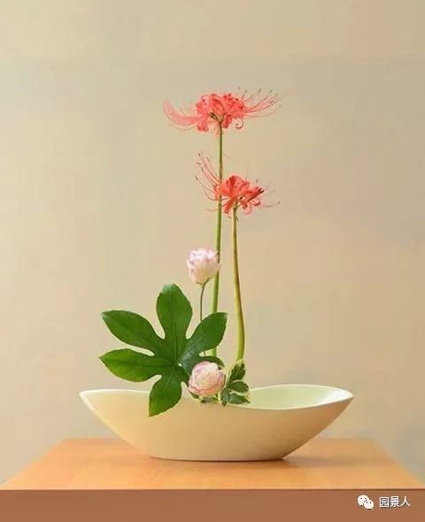 [分享]禅意插花 带你感受东方艺术之美