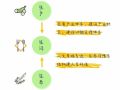 田园综合体开发建设的7个要点