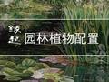 园林植物配置，就要这样！！