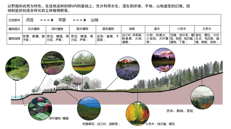 [河南]卢氏县双槐树乡旅游修建性详细景观规划方案文本_13