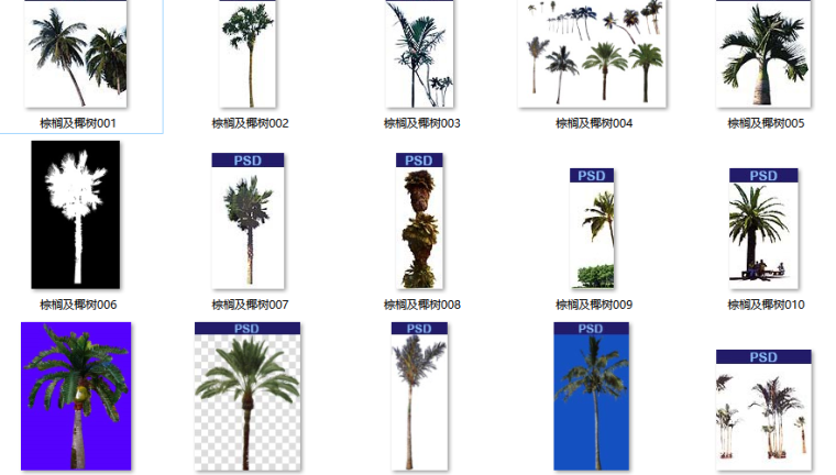 psd素材植物资料下载-园林设计植物素材之棕榈及椰树psd素材
