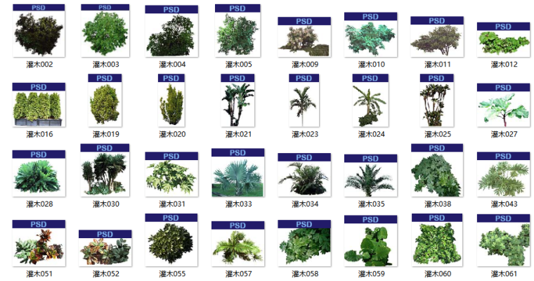 lumion植物素材扩展包资料下载-园林、建筑植物配景素材之灌木