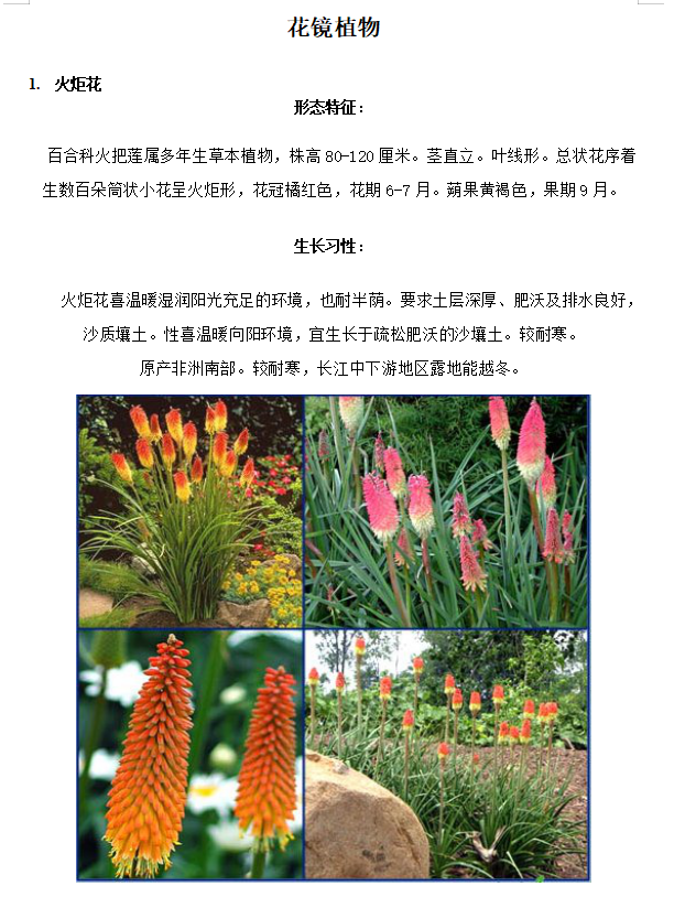 北方常用植物归类资料下载-景观花镜植物（共47页）