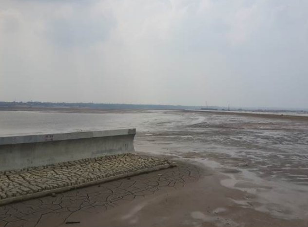 淤泥真空预压资料下载-真空预压处理人工填岛高含水量淤泥地基