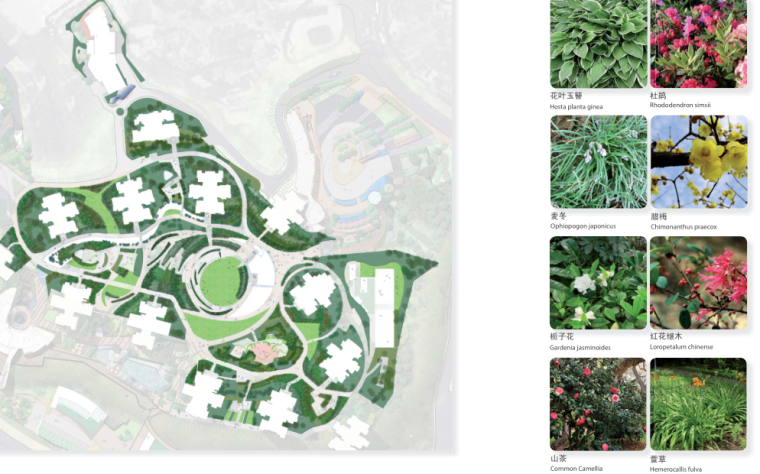 ​[重庆]春风与湖景观概念方案文本-知名景观公司_8