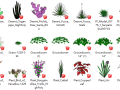 68套3D景观花草植物su模型-草本植物