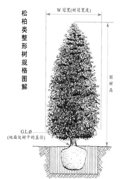 植物规格图解pdf_3