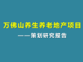 [广西]万佛山养生养老地产项目策划研究报告