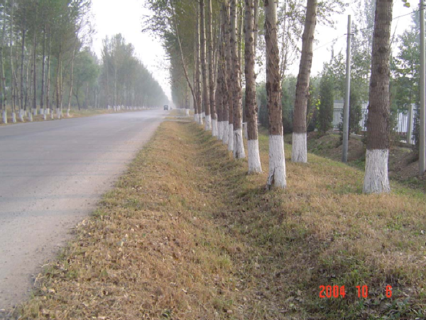 路线平面设计说明资料下载-道路平面设计(选线及线形设计)