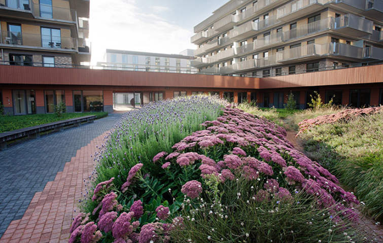 空巢老人养老院设计案例资料下载-Zonnehuis养老院花园景观案例实景图