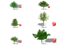 240种植物模型3D树（31-60）