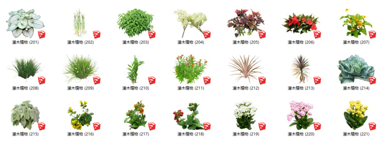 灌木植物3d模型资料下载-450个花卉灌木植物su模型A（201-250）