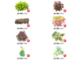 450套花卉灌木植物组件全集A（351-400）